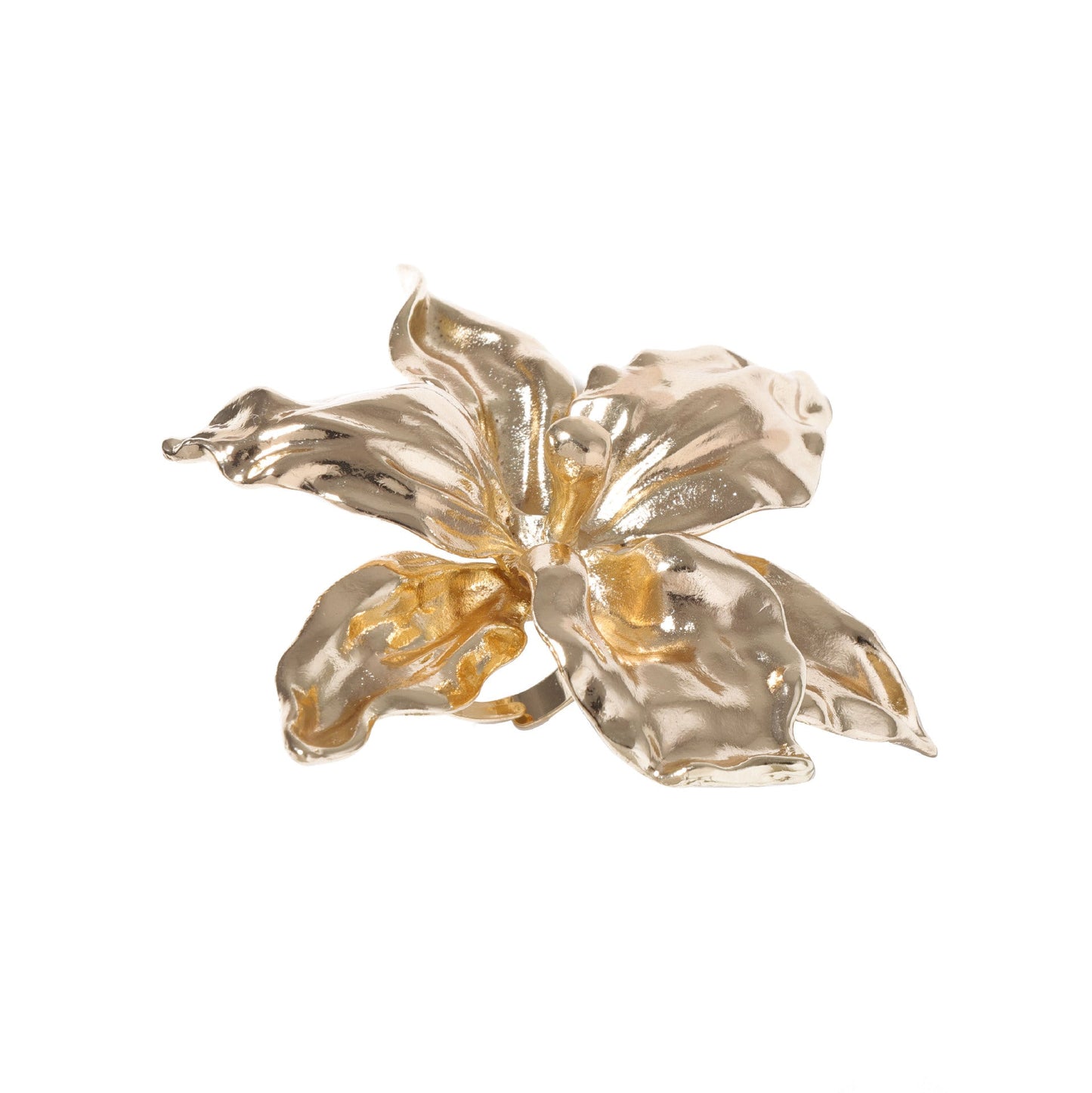 Charming Ring for Any Occasion